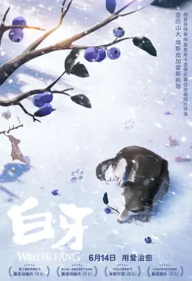 无玛专区